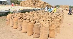 छत्तीसगढ़ में धान खरीदी की तैयारी तेज, किसानों को नहीं होगी परेशानी
