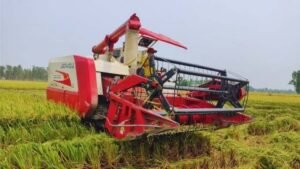 कुरुक्षेत्र में मौसम ने ली करवट, अगले सप्ताह आसमान रहेगा साफ; धान कटाई को मिलेगी रफ्तार