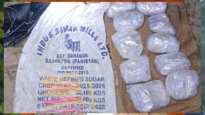 फिरोजपुर में पाकिस्तान से ड्रोन के जरिए भेजी गई हेरोइन बरामद, 10 पैकेट जब्त