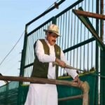 कान्हा टाइगर रिजर्व में 100 साल बाद लौटी जंगली भैंसों की रौनक, CM मोहन यादव ने 8 भैंसों को छोड़ा