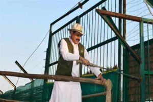 कान्हा टाइगर रिजर्व में 100 साल बाद लौटी जंगली भैंसों की रौनक, CM मोहन यादव ने 8 भैंसों को छोड़ा