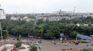इंदौर में 182 हरे-भरे पेड़ों की कटाई को हाई कोर्ट की सशर्त मंजूरी, हजारों पक्षी होंगे प्रभावित