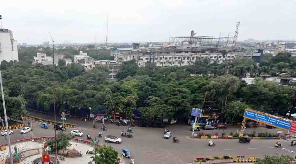 इंदौर में 182 हरे-भरे पेड़ों की कटाई को हाई कोर्ट की सशर्त मंजूरी, हजारों पक्षी होंगे प्रभावित