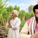 हरियाणा के गन्ना किसानों को दिवाली का तोहफा, दो साल में 35 रुपये बढ़ेगा भाव, अब मिलेंगे 450 रुपये प्रति क्विंटल