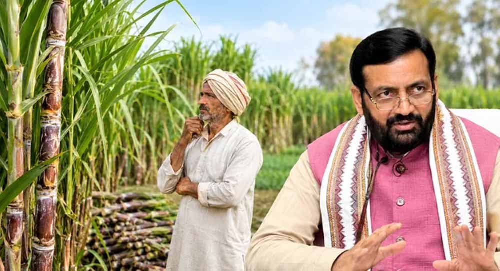 हरियाणा के गन्ना किसानों को दिवाली का तोहफा, दो साल में 35 रुपये बढ़ेगा भाव, अब मिलेंगे 450 रुपये प्रति क्विंटल