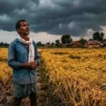 छत्तीसगढ़ में चक्रवाती तूफान का अलर्ट, बारिश से 1 करोड़ एकड़ में खड़ी धान की फसल पर संकट