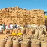 छत्तीसगढ़ में 15 नवंबर से धान खरीदी, ₹3100 MSP और 21 क्विंटल प्रति एकड़ की सीमा; जानें टोकन कैसे मिलेगा