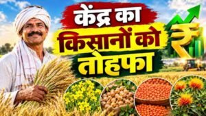 रबी फसलों के MSP में बढ़ोतरी, दलहन-तिलहन पर सरकार का खास जोर