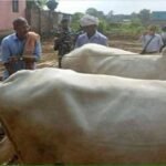 नाना पाटेकर का बिहार से खास नाता, कभी खेत में हल चलाया तो जवानों के बीच सुनाए फिल्मी डायलॉग