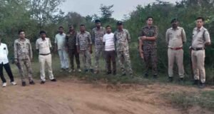 कूनो में चीते की गोली मारकर हत्या का मामला, 6 वनकर्मी सस्पेंड और STF गठित
