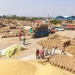 हरियाणा के किसानों को राहत, तय सीमा से ज्यादा धान भी MSP पर खरीदेगी सरकार