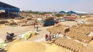 हरियाणा के किसानों को राहत, तय सीमा से ज्यादा धान भी MSP पर खरीदेगी सरकार