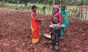 लेमन ग्रास की खुशबू से महक रही आत्मनिर्भरता, जीपीएम की महिलाएं बढ़ रहीं ‘लखपति दीदी’ बनने की राह पर