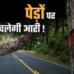 भोपाल मास्टर प्लान 2047 पर पर्यावरण की चिंता, 791 किमी सड़क नेटवर्क के लिए 2.89 लाख पेड़ों पर खतरा