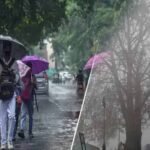 MP Weather: गुलाबी ठंड ने दी दस्तक, पश्चिमी विक्षोभ होगा सक्रिय; कई राज्यों में बारिश के आसार