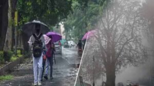 MP Weather: गुलाबी ठंड ने दी दस्तक, पश्चिमी विक्षोभ होगा सक्रिय; कई राज्यों में बारिश के आसार