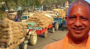 इस बार देश में धान खरीद में अपना ही रिकॉर्ड तोड़ेगी योगी सरकार
