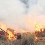 तरनतारन में पराली जलाने से रोकने पहुंचे अधिकारी पर हमला, 90 किसानों के खिलाफ केस दर्ज