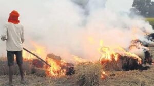 तरनतारन में पराली जलाने से रोकने पहुंचे अधिकारी पर हमला, 90 किसानों के खिलाफ केस दर्ज