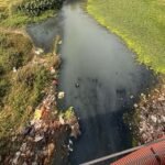 CG हाईकोर्ट की सख्ती, पूछा- 4 STP से कैसे साफ होगा अरपा नदी में गिरने वाले 70 नालों का पानी?
