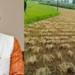 CM साय का बड़ा निर्देश, ‘अर्नब’ चक्रवात से फसल नुकसान का होगा सर्वे; जल्द मिलेगा मुआवजा