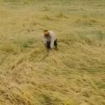12 अक्टूबर तक पूरा होगा फसल क्षति का डिजिटल सर्वे, प्रभावित किसानों को मिलेगी नियमानुसार सहायता