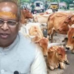 हरियाणा पशु कल्याण बोर्ड का पुनर्गठन, श्रवण गर्ग समेत 6 गैर-सरकारी सदस्यों की नियुक्ति