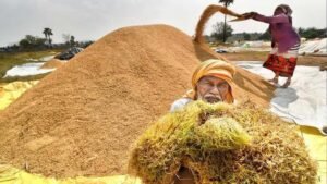 हरियाणा में धान भीगने पर भड़के किसान, कृषि मंत्री के सामने जमकर की नारेबाजी