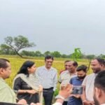 छत्तीसगढ़ में काले चावल की खेती से चमकेगी किसानों की किस्मत, 35 हजार रुपये क्विंटल तक है कीमत