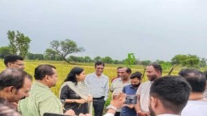 छत्तीसगढ़ में काले चावल की खेती से चमकेगी किसानों की किस्मत, 35 हजार रुपये क्विंटल तक है कीमत