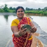मत्स्य पालन से समृद्ध हो रही सरगुजा की ग्रामीण अर्थव्यवस्था, खुल रहे स्वरोजगार के नए अवसर