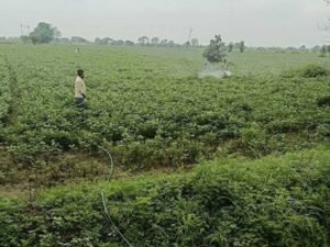 विज्ञान एवं प्रौद्योगिकी विभाग की पहल पर दो दिवसीय स्पेस एप्लीकेशंस एडॉप्शन वर्कशॉप सफलतापूर्वक संपन्न