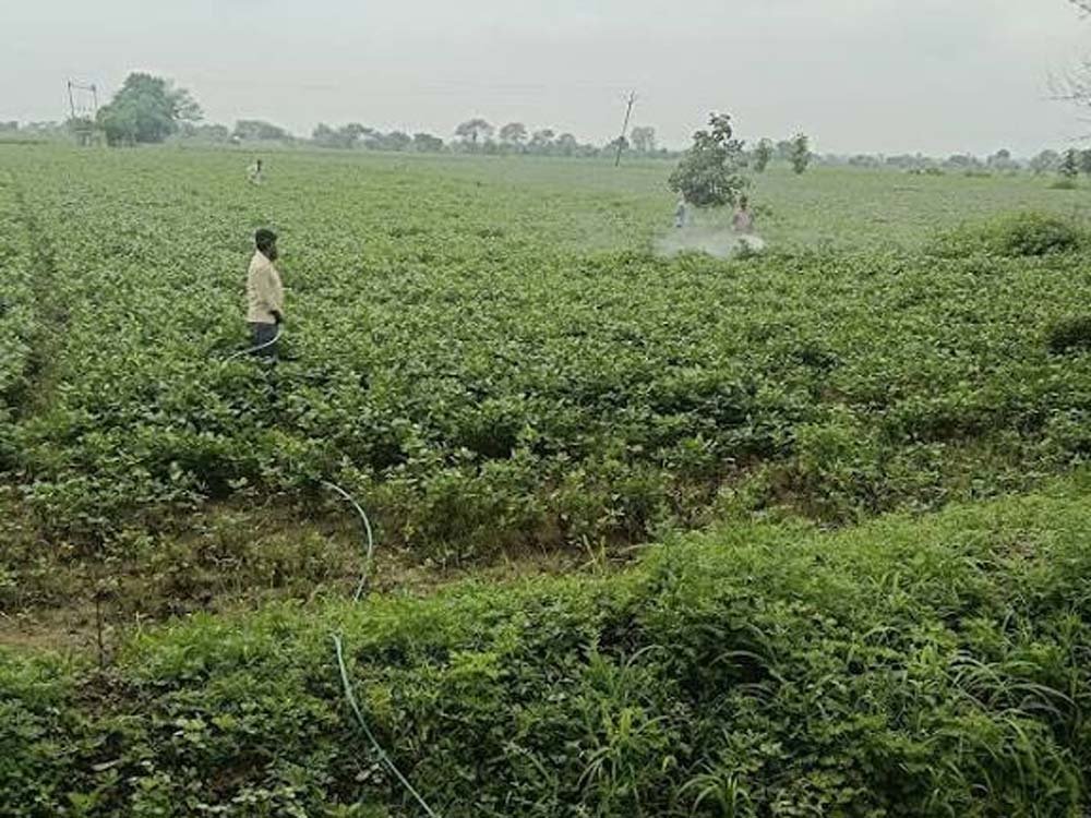 विज्ञान एवं प्रौद्योगिकी विभाग की पहल पर दो दिवसीय स्पेस एप्लीकेशंस एडॉप्शन वर्कशॉप सफलतापूर्वक संपन्न