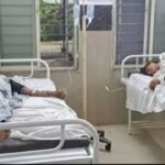माता की मूर्ति विसर्जन यात्रा में मधुमक्खियों का हमला, मची भगदड़; 25 लोग घायल, 13 अस्पताल में भर्ती