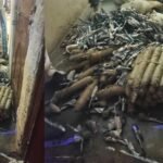 त्योहारों से पहले ग्वालियर पुलिस का एक्शन, अवैध पटाखों और विस्फोटक सामग्री के साथ दो गिरफ्तार