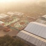 बस्तर के लालबाग में वनोपज से सजी 20,700 वर्गफीट की भव्य रंगोली ने रचा विश्व रिकॉर्ड, राष्ट्रपति  द्रौपदी मुर्मु ने किया अवलोकन